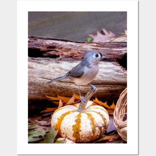 Little bird on a tiny pumpkin Posters and Art